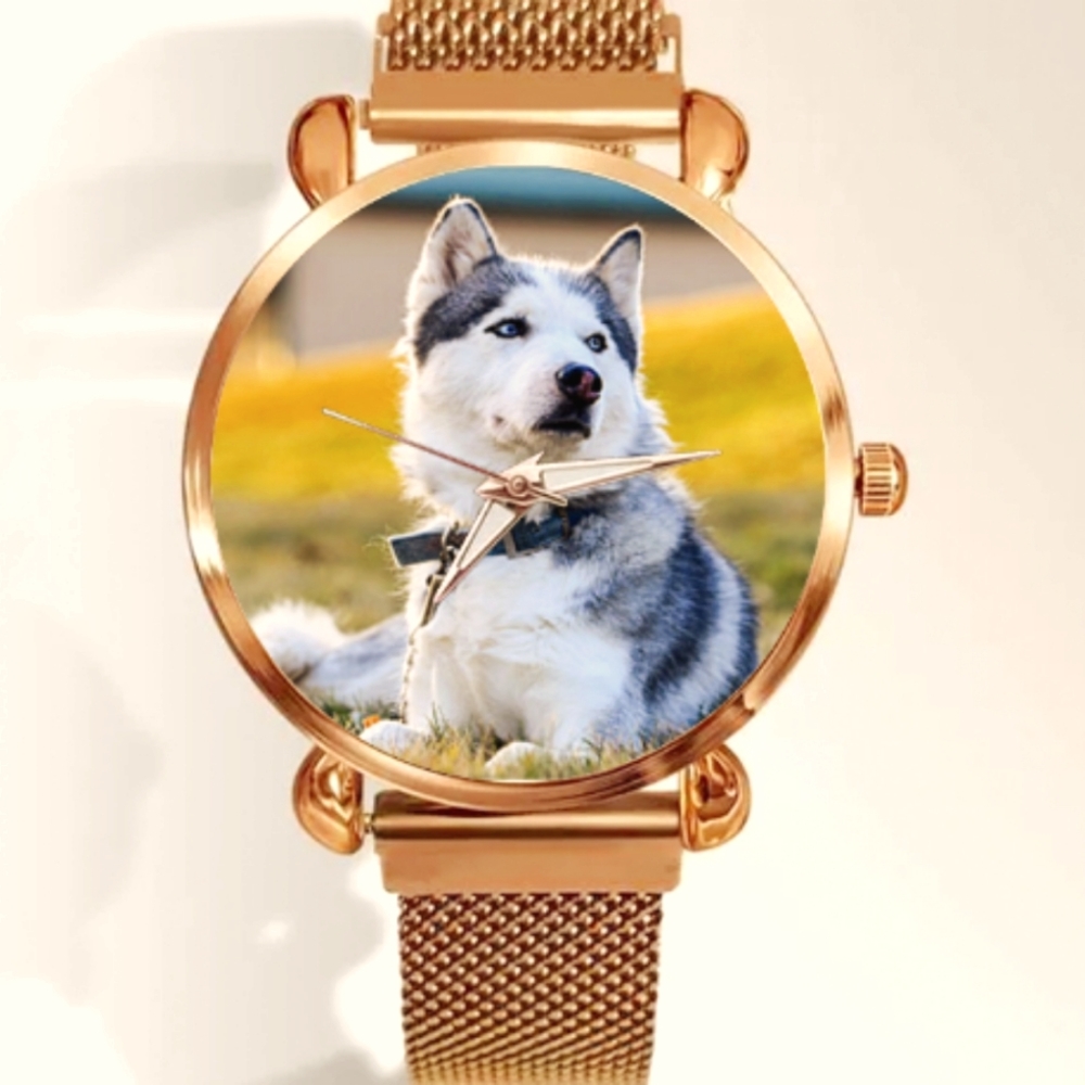 Canadian Eskimo Dog Watch